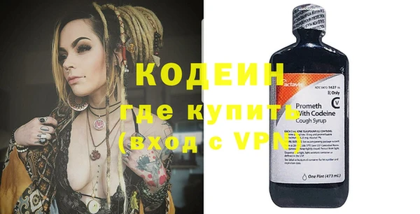 индика Балахна