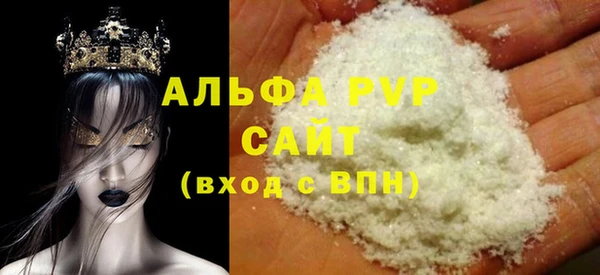 индика Балахна