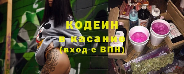индика Балахна